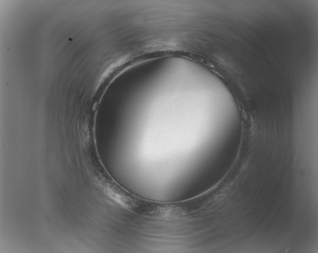 X0000077391218200610272004