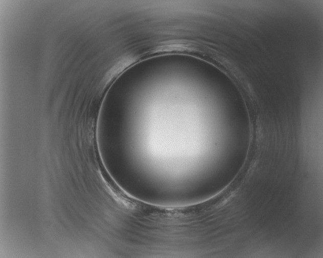 X0000077391233200610272004