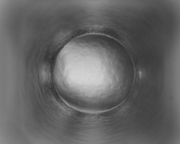 X0000077391252200610272003