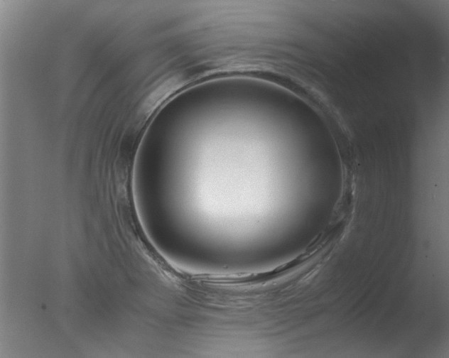 X0000077391273200610272003