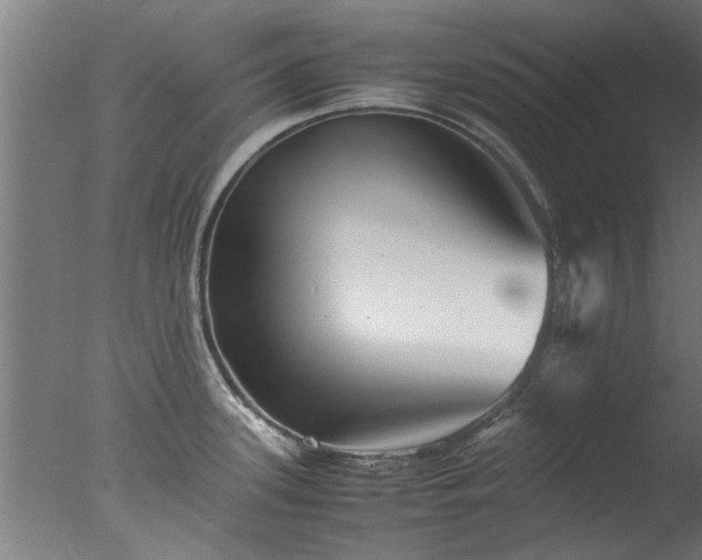 X0000077391339200610272003