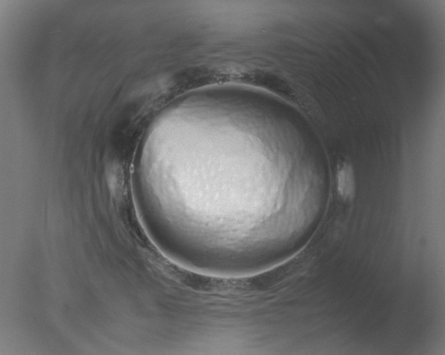 X0000077391347200610272002