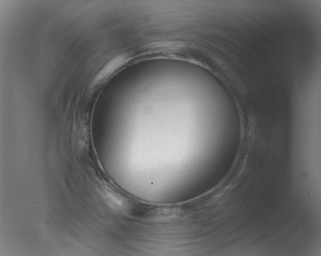 X0000077391354200610272002