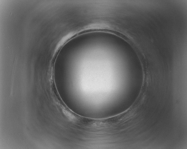 X0000077391366200610272002