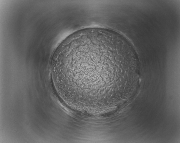 X0000077391367200610272002