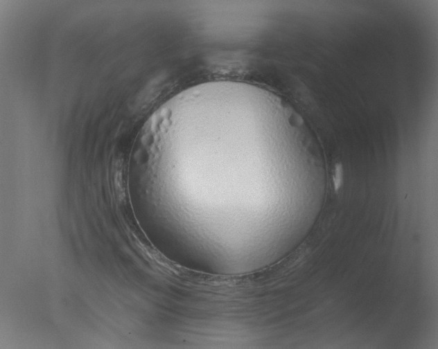 X0000077391396200610272000