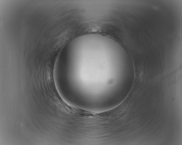 X0000077391442200610272000