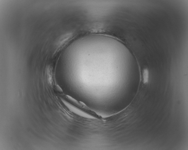 X0000077391444200610272000