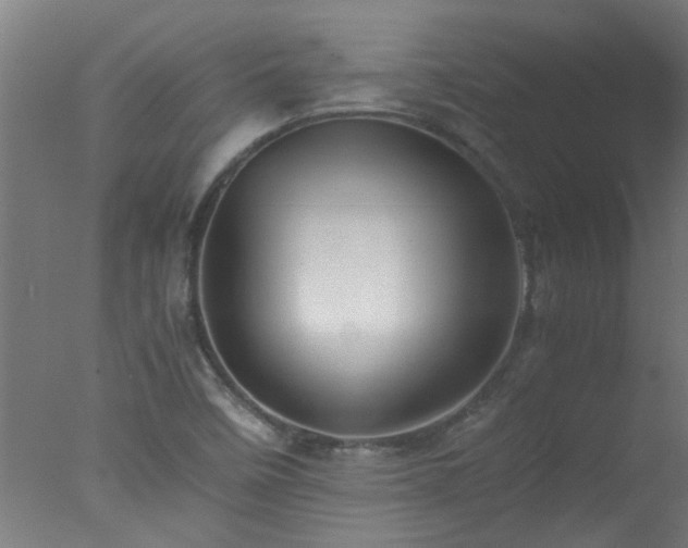 X0000077391458200610272000