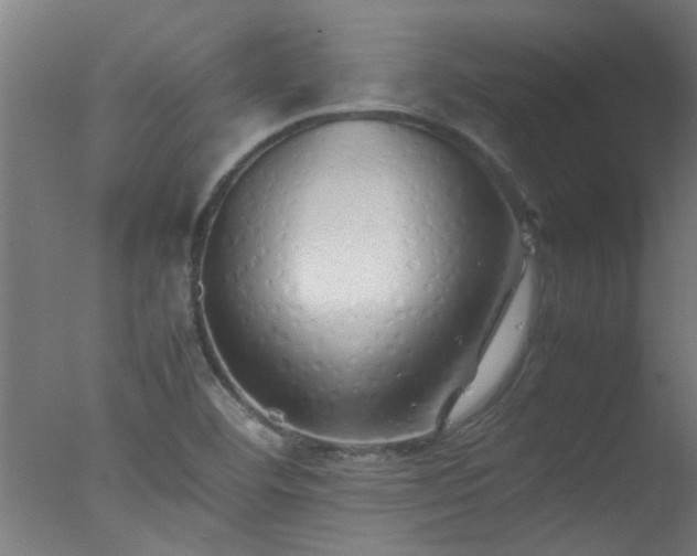 X0000077391460200610272000