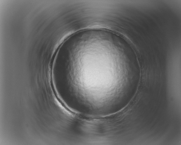X0000077391476200610272000