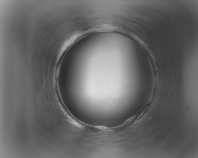 X0000077391477200610272000