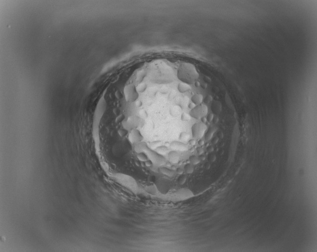 X0000077391494200610271959