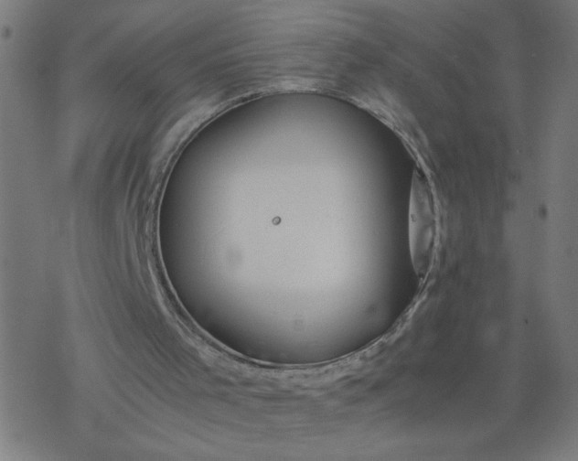 X0000077390001200611032013