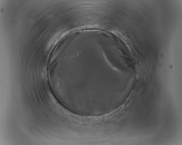 X0000077390002200611032013