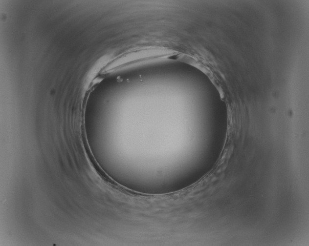 X0000077390003200611032013