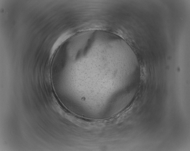 X0000077390004200611032013