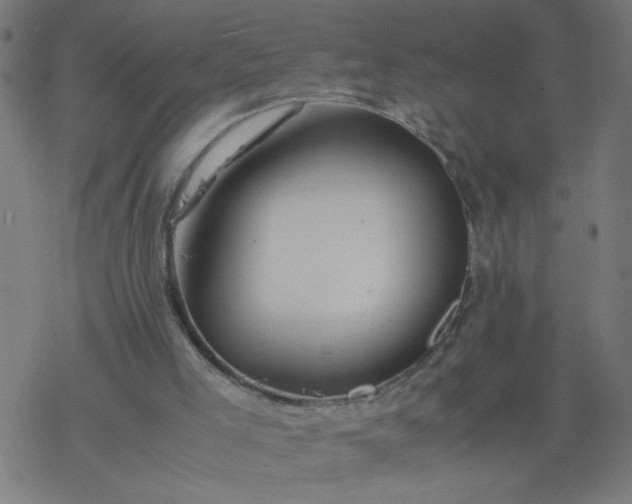 X0000077390005200611032013