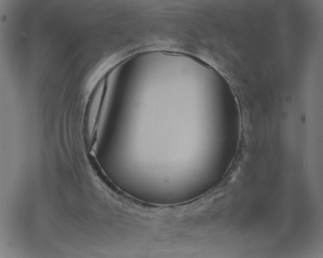 X0000077390007200611032013