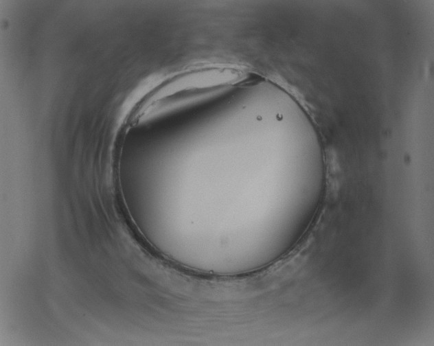 X0000077390008200611032013