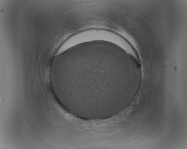 X0000077390009200611032013