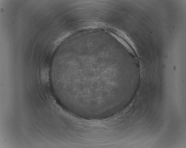 X0000077390010200611032013