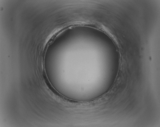 X0000077390011200611032013