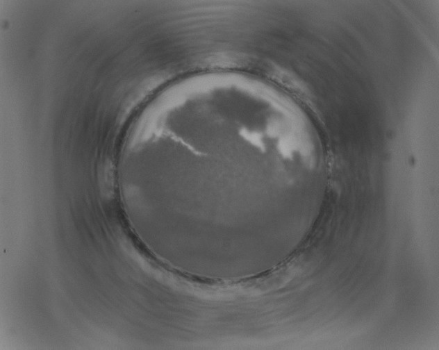 X0000077390012200611032013