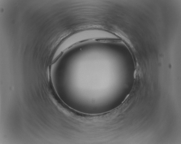 X0000077390013200611032013