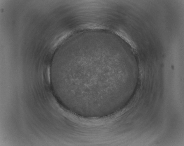 X0000077390014200611032013