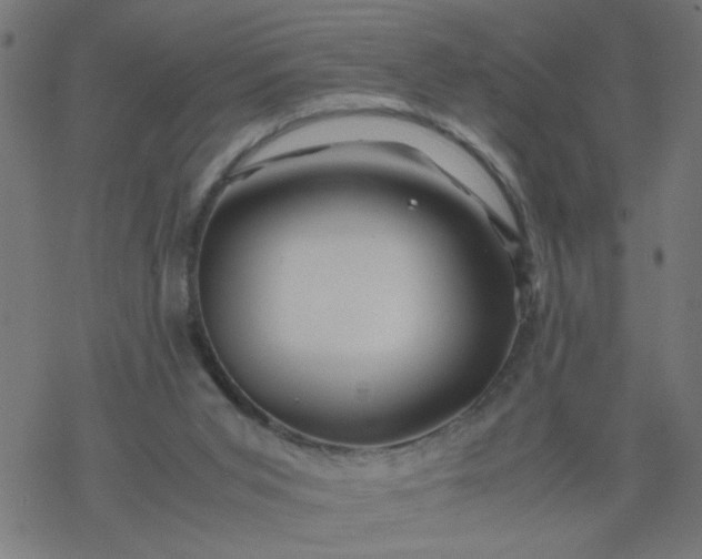 X0000077390015200611032013