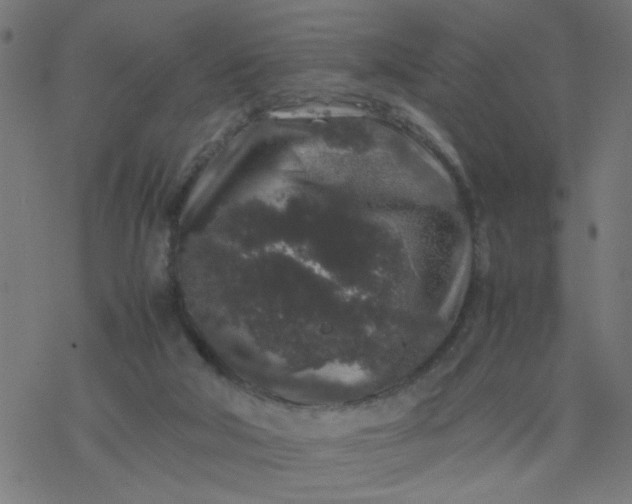 X0000077390018200611032013