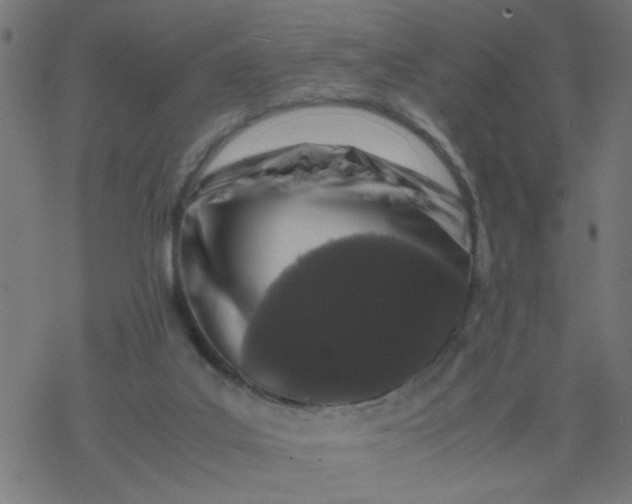 X0000077390019200611032013