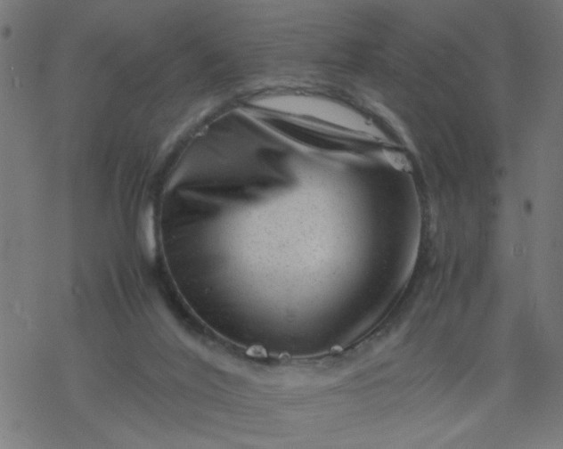 X0000077390020200611032013