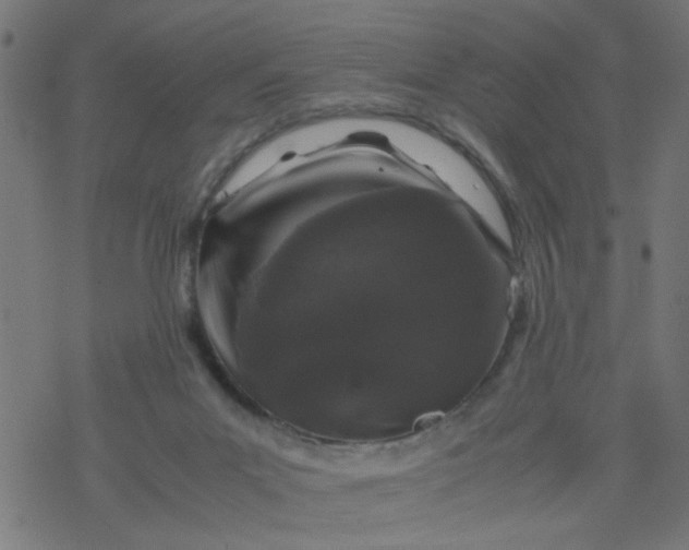 X0000077390023200611032013