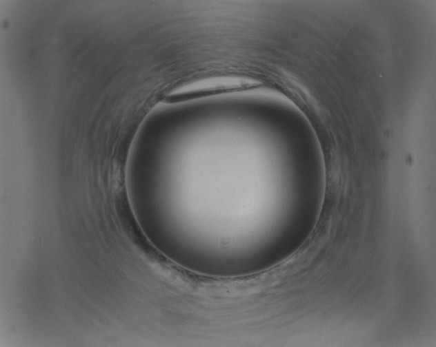 X0000077390025200611032013