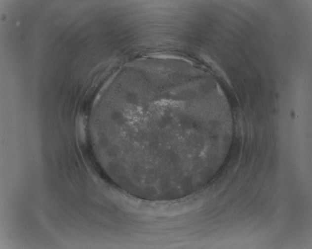 X0000077390026200611032013