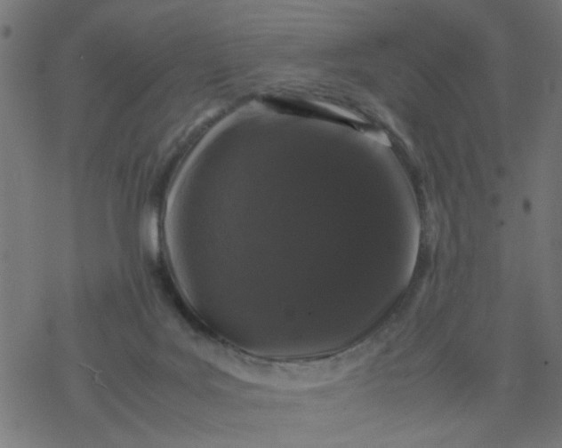 X0000077390027200611032013