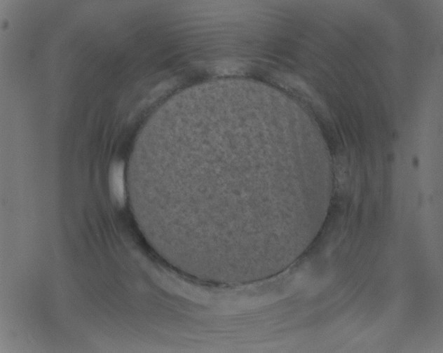 X0000077390028200611032013