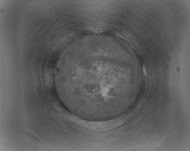 X0000077390030200611032013