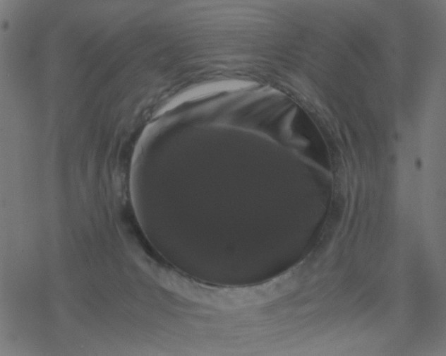 X0000077390031200611032013