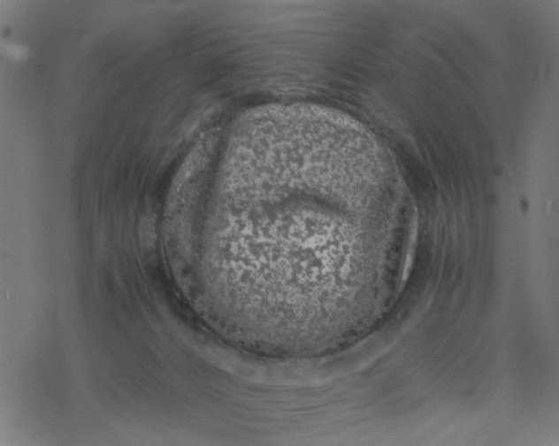 X0000077390032200611032013