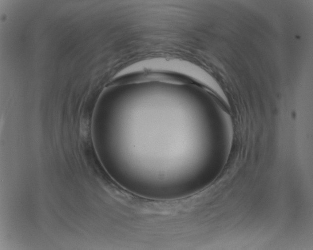 X0000077390033200611032013