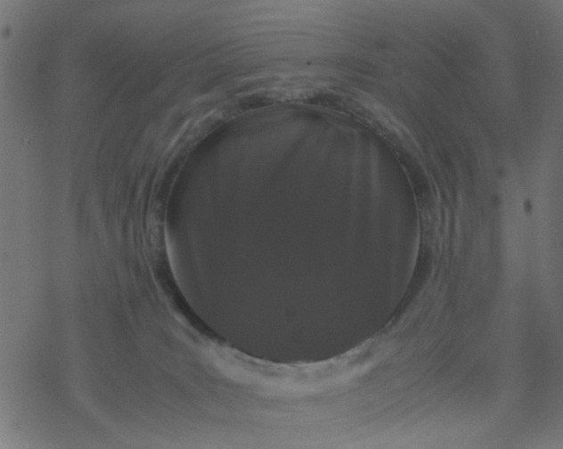 X0000077390035200611032012