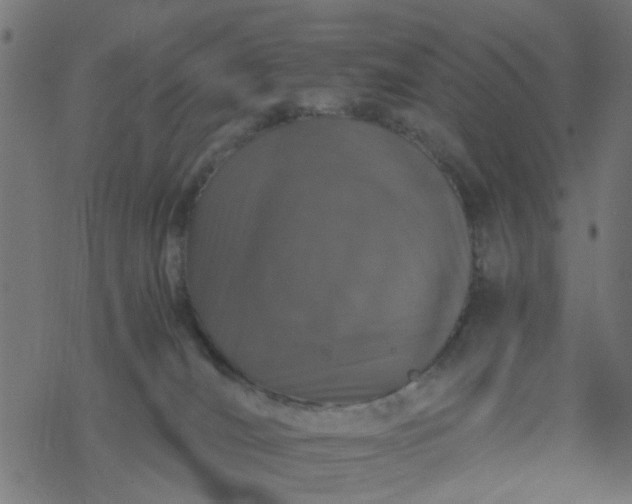 X0000077390036200611032012