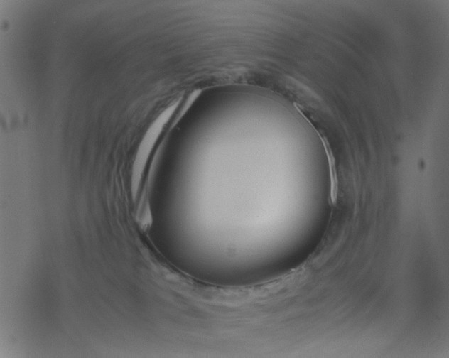 X0000077390037200611032012