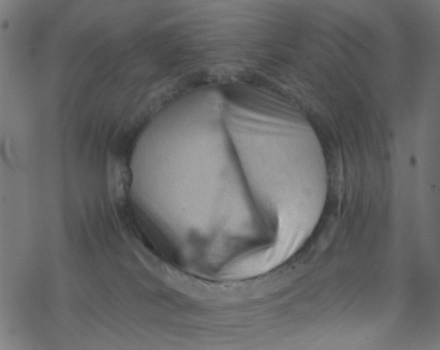 X0000077390038200611032012