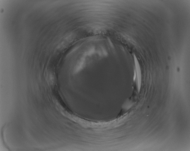 X0000077390039200611032012