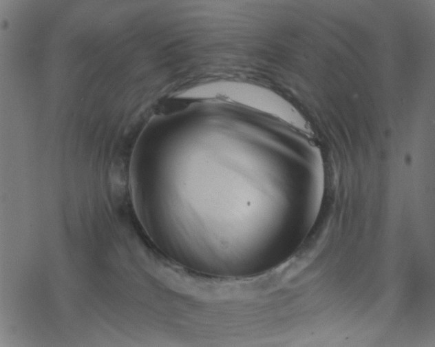 X0000077390040200611032012