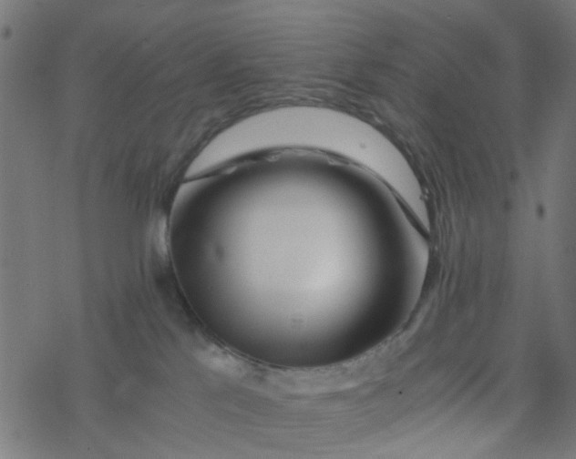 X0000077390041200611032012